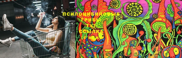 а пвп мука Баксан