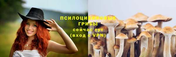 а пвп мука Баксан
